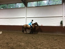 Kuva: Maija Virtanen