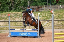 Kuva Primus / Emilia Alamäki