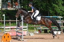 Kuva Primus / Emilia Alamäki