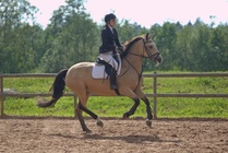 Kuva Primus / Emilia Alamäki