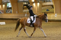 Kuva Primus / Emilia Alamäki