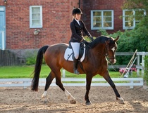 © Filippa Westerlund