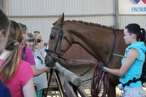 Cinderella, fanit ja Niina Kumpuniemi päättäjäisten demossa 2014, © Eija Komulainen.