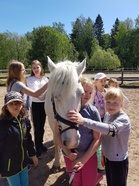 Kuva ponilympialaisista 2019, kuva Milja Koskela