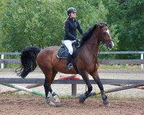 © Filippa Westerlund 