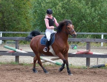 © Filippa Westerlund 