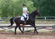 © Filippa Westerlund 