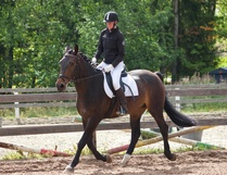 © Filippa Westerlund 