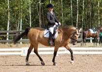 © Filippa Westerlund 