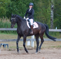 © Filippa Westerlund 