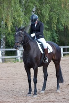 © Filippa Westerlund 