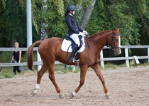 © Filippa Westerlund 