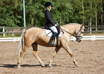 © Filippa Westerlund 