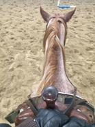 Malla Flamen kyydissä, kuva Malla Paajanen.