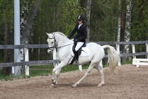 Heidi Tunkelo - Milton
© Anna K