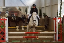 © Filippa Westerlund