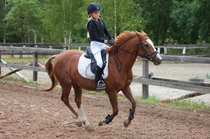 © Filippa Westerlund 