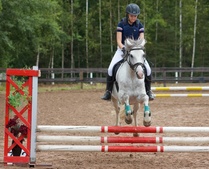 © Filippa Westerlund 