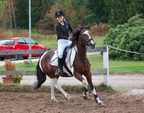 © Filippa Westerlund 