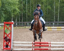 © Filippa Westerlund 