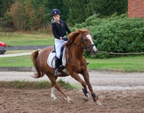 © Filippa Westerlund 