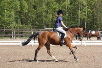 Tuuli Isokangas - Bruno
© Anna K