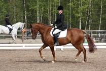 Jenni Kannelsalo - Rasmus
© Anna K