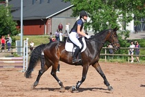 Kuva Primus / Emilia Alamäki