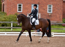 © Filippa Westerlund