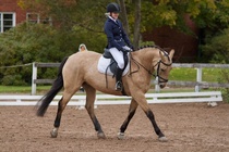 © Filippa Westerlund