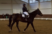 © Filippa Westerlund