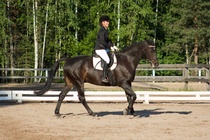 © Filippa Westerlund