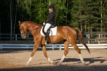 © Filippa Westerlund