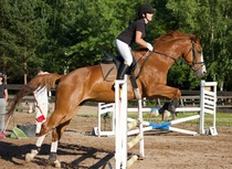 © Filippa Westerlund