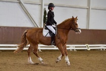 © Filippa Westerlund