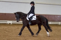 © Filippa Westerlund