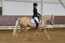 © Filippa Westerlund