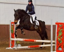 © Filippa Westerlund