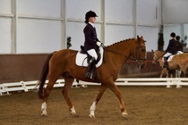 © Filippa Westerlund