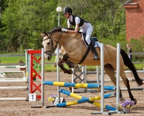 © Filippa Westerlund