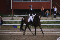 Rondy Stenman - Biko (rekisterinimi Igo Drosmigais), 
© Rondy Stenman / Teresa Pollari