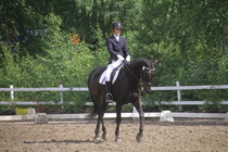 Elisa Kankkunen - Rex (rekisterinimi Rekets) © Rondy Stenman / Teresa Pollari