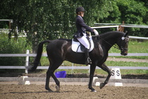 Elisa Kankkunen - Rex (rekisterinimi Rekets) © Rondy Stenman / Teresa Pollari