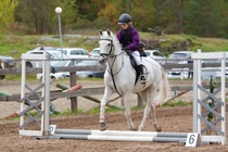 © Filippa Westerlund