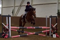 © Filippa Westerlund