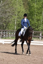 Sini Ollikainen - Piccolo
© Anna K