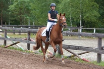 © Filippa Westerlund 