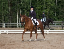 © Filippa Westerlund