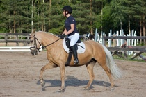 © Filippa Westerlund