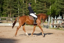 © Filippa Westerlund